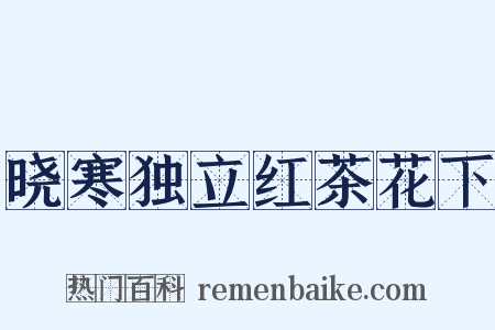 晓寒独立红茶花下是什么意思的图片